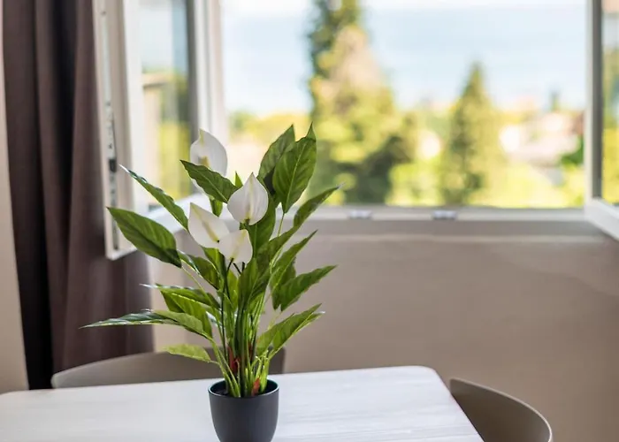 Perondi ストレーザ